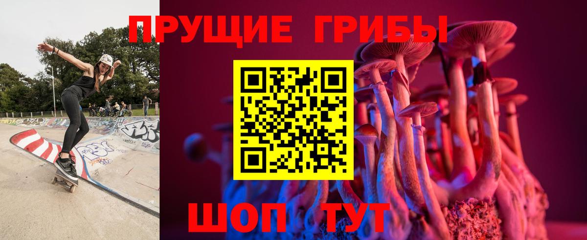 Псилоцибиновые грибы MAGIC MUSHROOMS  Вход с VPN  Муравленко 